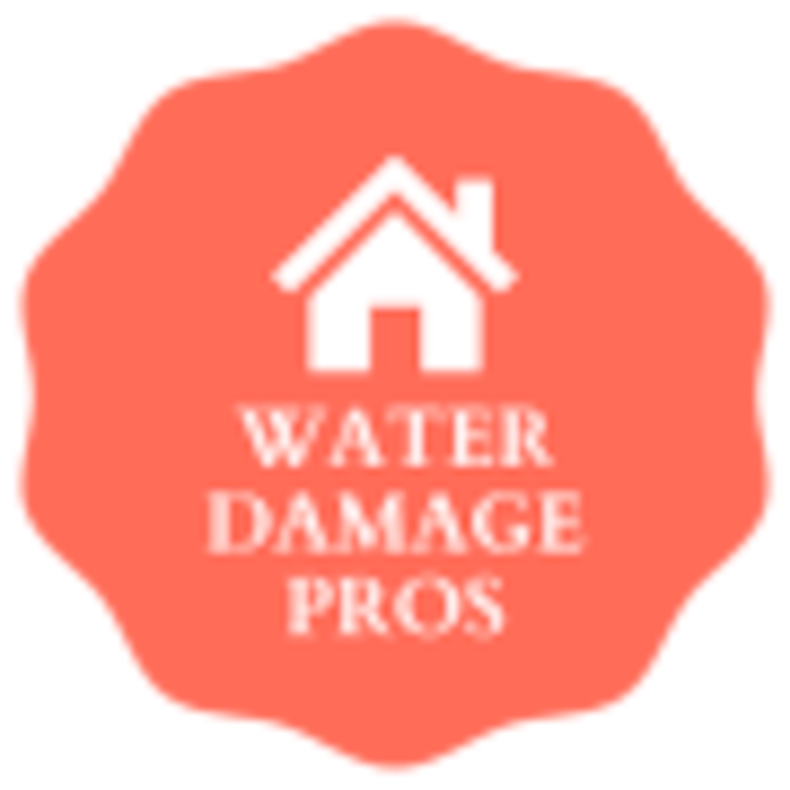 Water Damage Logo Brunswick